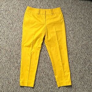Loft pants, size:6